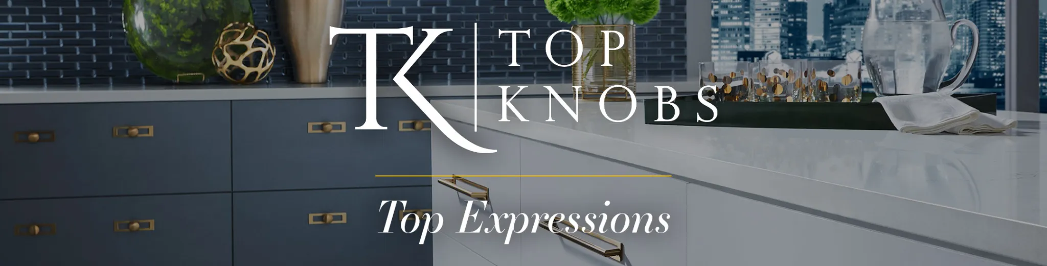 Top-Knobs-Blog-Header-Top-Expressions-2020-1.webp