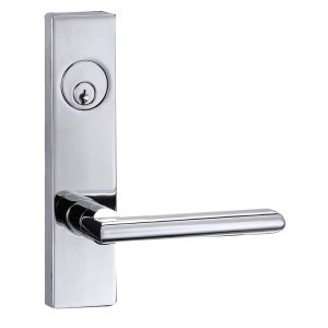 Taymor Mortise Lever Vega