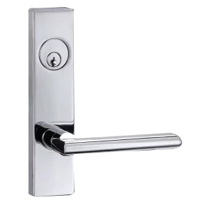 Taymor Commercial Mortise Lever Vega